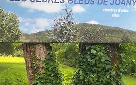 Les Cedres Bleus De Joany
