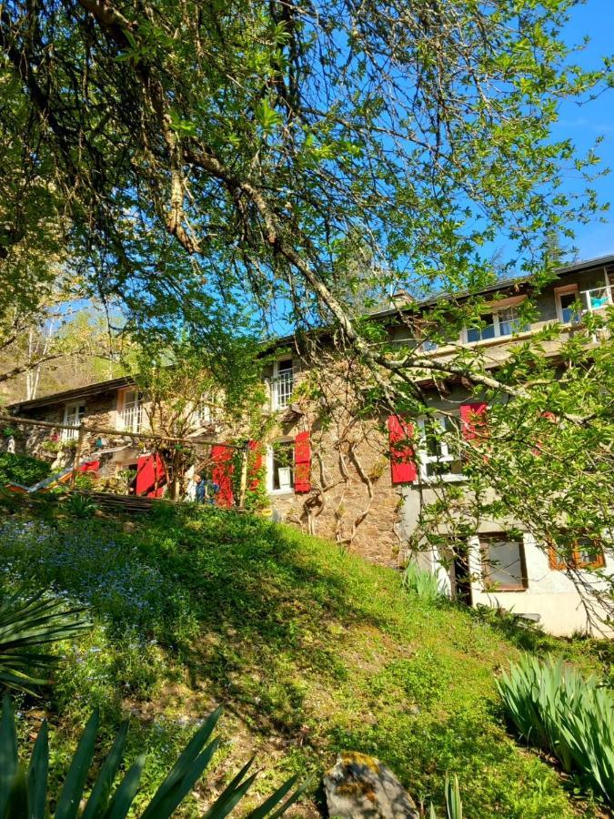 Hotel Cedres Bleus De Joany Chez Nathalie Viviez Exterior foto
